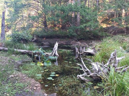 0 Trematon Lake, Lasqueti Island, BC 