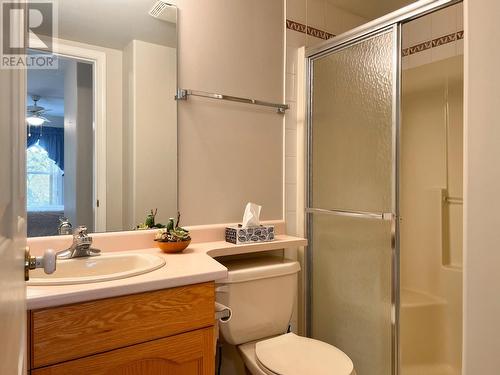 719 11Th  Avenue Unit# 204, Castlegar, BC - Indoor Photo Showing Bathroom