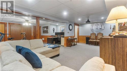 Living room with carpet floors, a drop ceiling, ceiling fan, and wood walls - 246 Light Street, Woodstock, ON - Indoor Photo Showing Basement