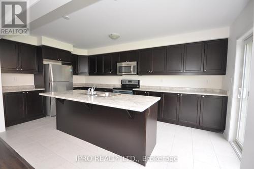 305 Gooding Crescent, Milton, ON - Indoor Photo Showing Kitchen With Double Sink