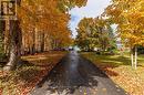 582815 Sideroad 9B, Chatsworth, ON  - Outdoor With View 