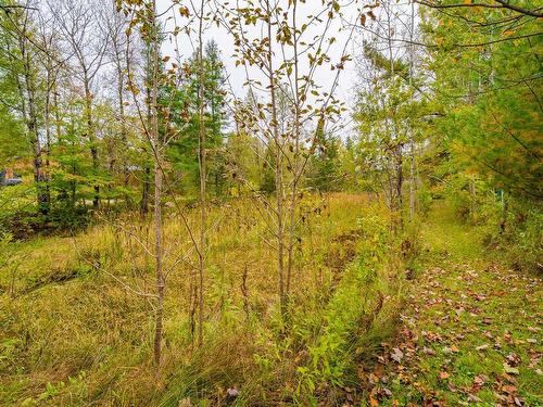 Land/Lot - 3120 Rue Martineau, Québec (La Haute-Saint-Charles), QC - Outdoor