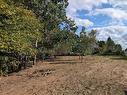 Wooded area - Ch. Cameron, Bolton-Est, QC 