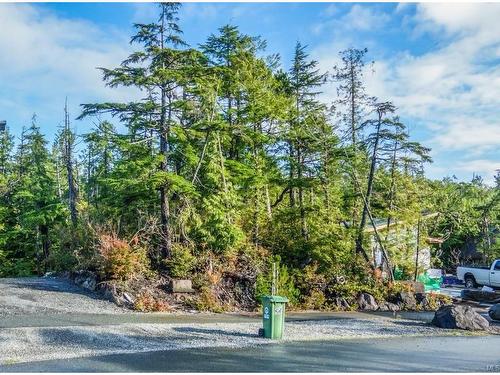 Lot 50 Cedar Grove Pl, Ucluelet, BC 