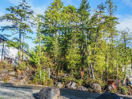 Lot 50 Cedar Grove Pl, Ucluelet, BC 