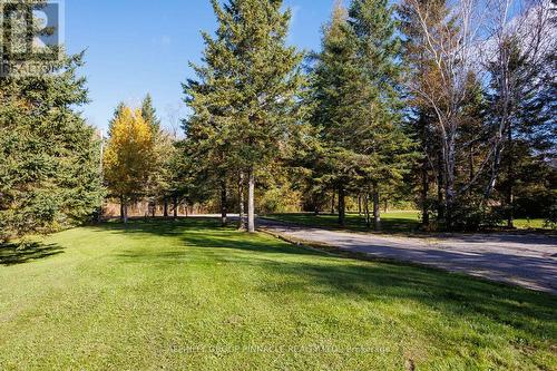 30 Emily Creek Road, Kawartha Lakes (Dunsford), ON - Outdoor With View