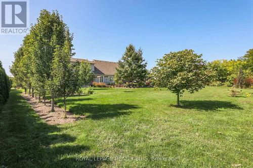 1201 Concession 2 Road, Niagara-On-The-Lake, ON - Outdoor