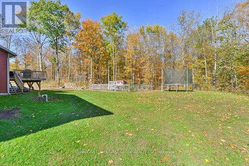 385 Flatrock Road, Tweed, ON - Outdoor