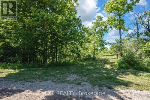 8402 Homestead, R.R. #3 Road, Dutton/Dunwich (Iona), ON 