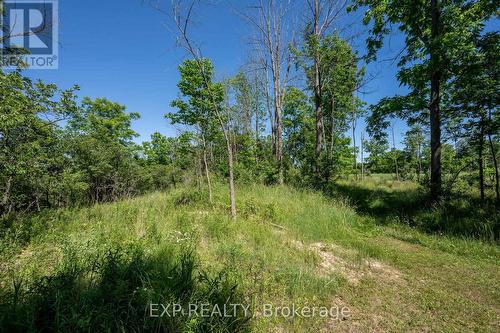 8402 Homestead, R.R. #3 Road, Dutton/Dunwich (Iona), ON 