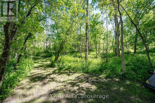 8402 Homestead, R.R. #3 Road, Dutton/Dunwich (Iona), ON 