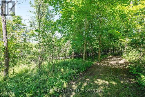 8402 Homestead, R.R. #3 Road, Dutton/Dunwich (Iona), ON 