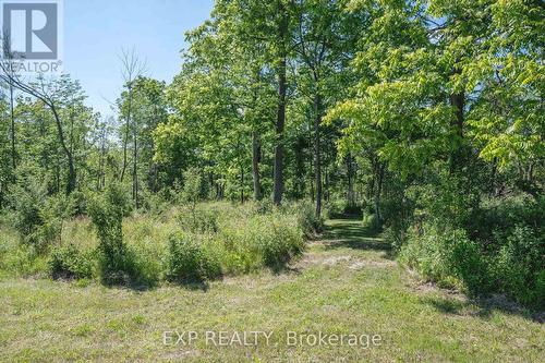 8402 Homestead, R.R. #3 Road, Dutton/Dunwich (Iona), ON 