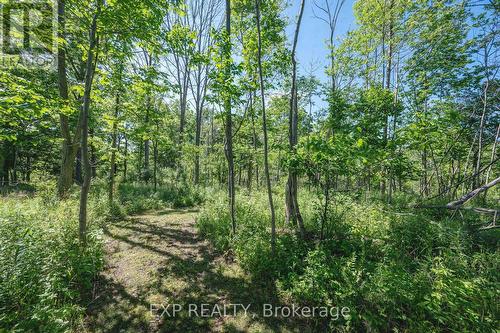 8402 Homestead, R.R. #3 Road, Dutton/Dunwich (Iona), ON 