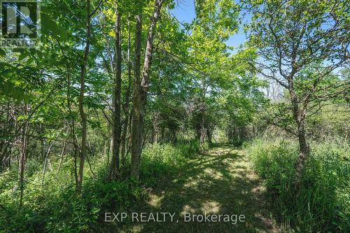 8402 Homestead, R.R. #3 Road, Dutton/Dunwich (Iona), ON 