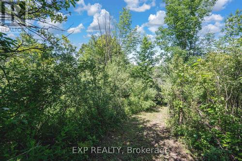 8402 Homestead, R.R. #3 Road, Dutton/Dunwich (Iona), ON 