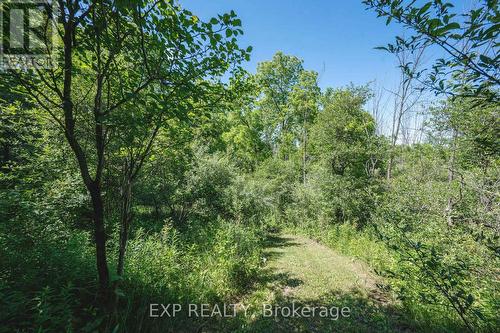 8402 Homestead, R.R. #3 Road, Dutton/Dunwich (Iona), ON 