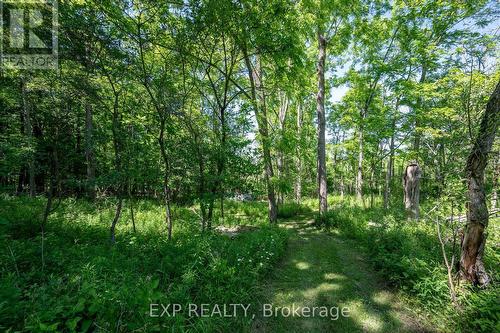 8402 Homestead, R.R. #3 Road, Dutton/Dunwich (Iona), ON 