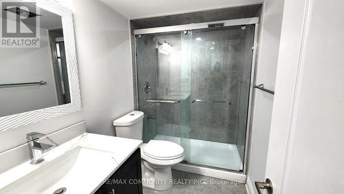 Bsmt - 10 Growler Street, Brampton, ON - Indoor Photo Showing Bathroom