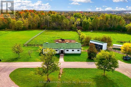 18054 Warden Avenue, East Gwillimbury, ON - Outdoor