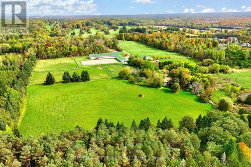 18054 Warden Avenue, East Gwillimbury, ON - Outdoor With View