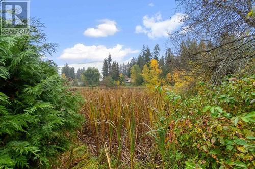 4750 70 Avenue, Salmon Arm, BC - Outdoor With View