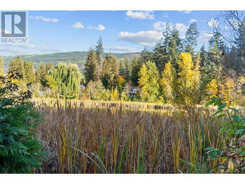 4750 70 Avenue, Salmon Arm, BC - Outdoor With View