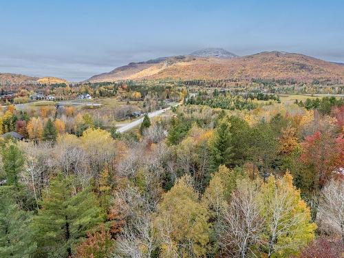 Terre/Terrain - Rue Principale O., Magog, QC 