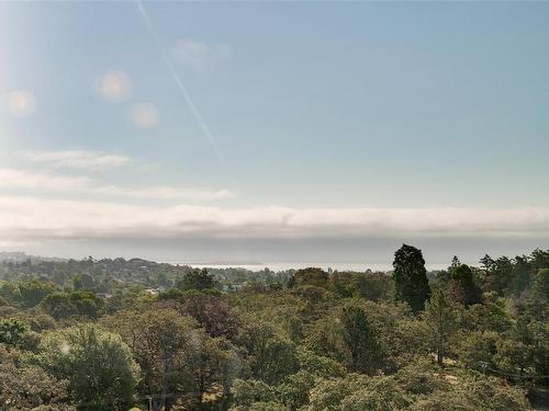 1505-647 Michigan St, Victoria, BC - Outdoor With View