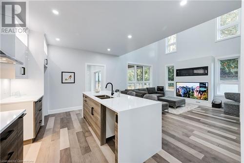 647 Devonshire Avenue, Woodstock, ON - Indoor Photo Showing Kitchen With Double Sink With Upgraded Kitchen