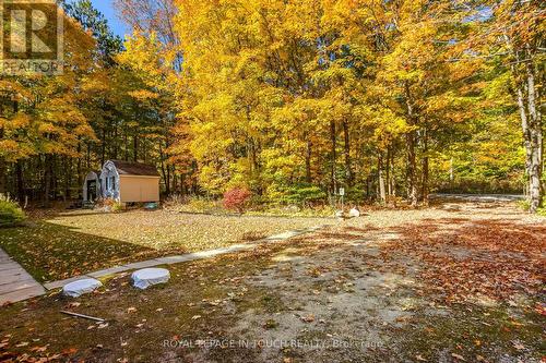 61 Beaufort Crescent, Tiny, ON - Outdoor