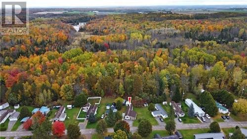 31 Robert Colin Lane, Cobden, ON - Outdoor With View