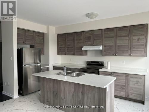 255 Gillespie Drive, Brant, ON - Indoor Photo Showing Kitchen With Double Sink