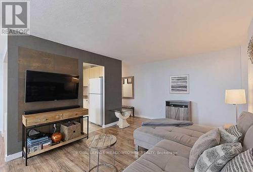 903 - 530 Lolita Gardens, Mississauga, ON - Indoor Photo Showing Living Room