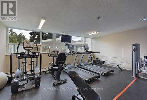 903 - 530 Lolita Gardens, Mississauga, ON - Indoor Photo Showing Gym Room