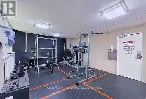 903 - 530 Lolita Gardens, Mississauga, ON - Indoor Photo Showing Gym Room