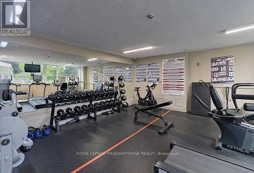 903 - 530 Lolita Gardens, Mississauga, ON - Indoor Photo Showing Gym Room