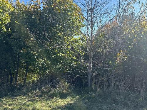 Lot 1,2,3,4 Alders Avenue, Hantsport, NS 