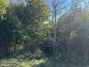 Lot 1,2,3,4 Alders Avenue, Hantsport, NS 