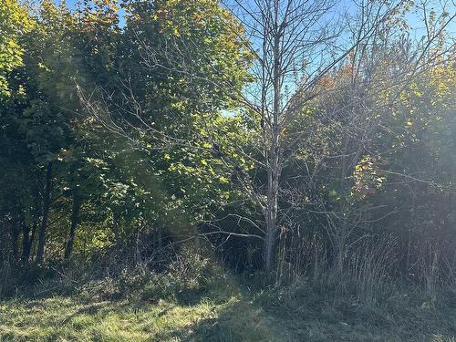 Lot 1,2,3,4 Alders Avenue, Hantsport, NS 