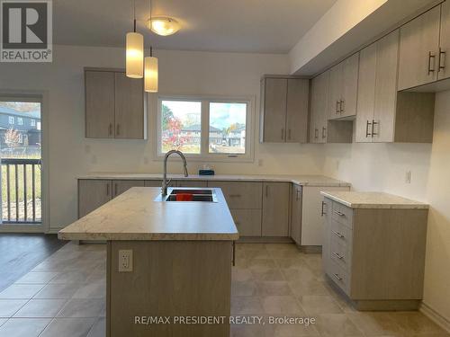 213 Wells Avenue, Fort Erie, ON - Indoor Photo Showing Kitchen With Double Sink