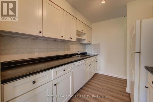 206 - 10 Cooper Street, Cambridge, ON - Indoor Photo Showing Kitchen With Double Sink