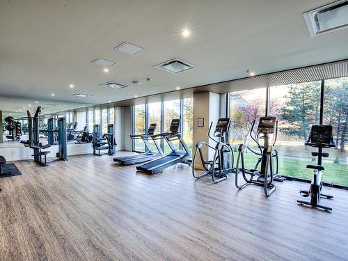 Exercise room - 216-1000 Rue Levert, Montréal (Verdun/Île-Des-Soeurs), QC - Indoor Photo Showing Gym Room