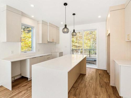 Cuisine - 123 Rue Lacroix, Magog, QC - Indoor Photo Showing Kitchen With Upgraded Kitchen