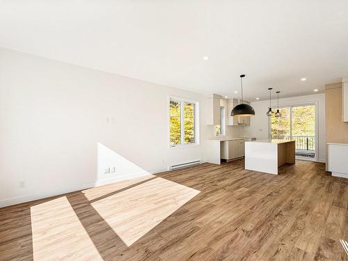 Salon - 123 Rue Lacroix, Magog, QC - Indoor Photo Showing Kitchen