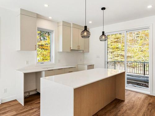 Cuisine - 123 Rue Lacroix, Magog, QC - Indoor Photo Showing Kitchen With Upgraded Kitchen