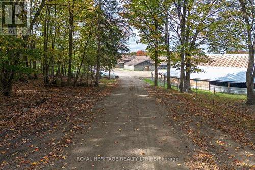 266 Mcfadden Line, Powassan, ON 