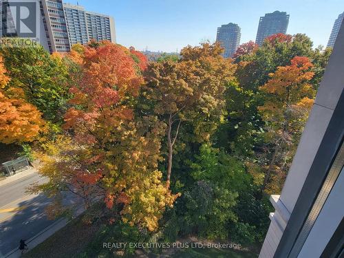 601 - 135 Wynford Drive, Toronto, ON - Outdoor With View