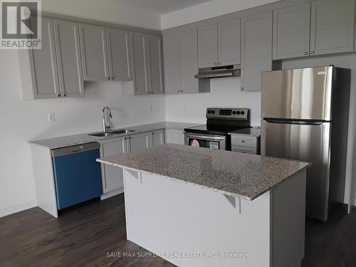 68 Forestwalk Street, Kitchener, ON - Indoor Photo Showing Kitchen With Upgraded Kitchen