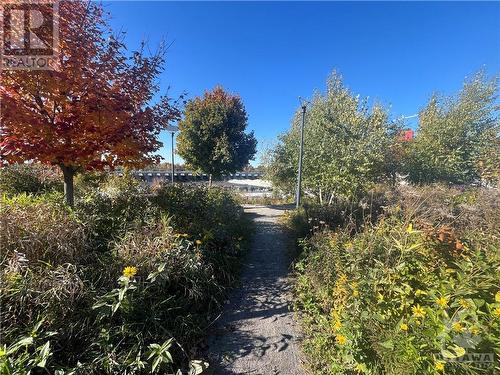 Chaudière Falls Walking Trail - 320 Miwate Private Unit#312, Ottawa, ON - Outdoor With View